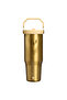 The iceflow flip straw 2.0 tumbler 0.89l 30oz messi world cup limited edition - 4