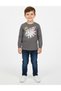Bluza, Gri