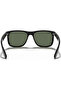 Rb4165 601 71 55 Men's Sunglasses - 5