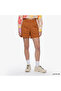N-Lucidum Women's Brown Shorts - 8