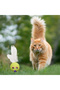 Colorful Straw Feather Play Ball (with Catnip) Engaging Fun Educational Pet Play Toy (5263) - 2