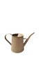 Galvanized Metal Watering Can 1.7 Lt Matte Beige - 2