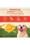 Himalayan Dog Dental Chew| Blueberry, Strawberry, Cranberry| All Natural, Junk-Free| L - 7