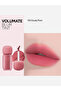 Volumate Blur Tint 103 بلون البرقوق الغائم - 2