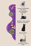 Sdt Purple Fish Shape Theme Patterned Modern Woven Base Decorative Carpet Sdt1489 - 3