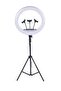 -18 LED Ring Light 18 Inch Soft Ring Light for Smartphones Camera YouTube TikTok Videos with Tripod & 3 phone Holders - 3