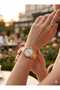 Steel Cord Stone Minimal Calendar Women's Wristwatch