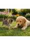 3-Pack Cat and Dog Chew Play Ball 6.5 cm