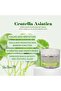 Premium Centella Skincare Set – Hydrating, Soothing, and Brightening Beauty Essentials - 6