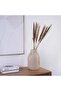 Natural Dried Small Pampas 60cm - Brown And Ivory - 2