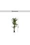 Parlour Palm Tree Green H180cm - 5