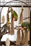 Natural Jute Bird and Parrot Chewing Toy Set - 5