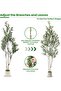 182 cm Artificial Olive Tree Double Trunk – Lifelike & Maintenance-Free with White Planter, Perfect for Living Room & Office - 5