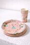 Salmon Princess and Castle Themed 8-Piece Plate and Cup Set - 3
