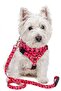Adjustable Scarf, Chest Harness and Travel Strap Set of 3