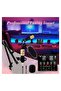 Adjustable Recording Condenser Microphone with Kit - 5
