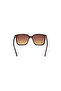 Dark Havana Uv400 Injected Female Sunglasses - 4