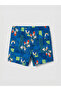Vizyon New Season Sonic Printed Quick-Drying Boys' Swimsuit - 2