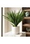 شجرة سيزال صناعي بتصميم أنيق ومميز وبمركن سيراميك _ سكري _ 20×20×68سم