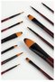 Professional Painting Brush Set 6-Piece Cat Tongue 1 Pack Stilo Set 1 Synthetic Quality Painter Brush Set - 4