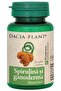 Spirulina si Ganoderma 120cpr