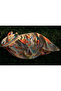 Eternal Spring - Sunset Cotton Shawl - 4