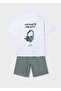 Boy's Combed Cotton Shorts T-Shirt Set Green - 4