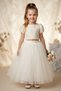 Baby Girl Birthday Party Wedding Dress Double Set Short Sleeve Rose Bow Tulle Tutu Lined - 4