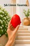 Lemon-Shaped Citrus Juicer Manual Fruit Squeezer with Seed Separator and Pouring Spout - 3
