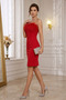 Feathered Bust, Rope Strap, Pencil Evening Dress - 3