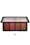 MAKE OVER 22-Blush Palette 4 Color Wanderlust Blush-M4304