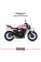 Yamaha Mt07 2018-2020 Fairing Sticker Sakura Motor Fairing Model Ready Kit High Quality