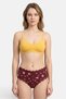 Women 5 Pack Floral Print Microfiber And Lace Panty, Multicolor