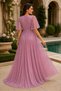 Women's Short Sleeve Tulle Sleeve Double Breasted Collar Lycra Stretchy Glitter Lined Stylish Comfortable Long Powder Evening Dress - 3
