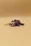 Animated Cute Sloth Animal Keychain (Large Size) - Animated Keychain Bag Ornament Charm - 3
