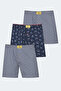 Hegel Set of 3 Men's Mixed Boxers