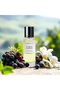 Lamsat Hareer 30ml De Rosa Collection | Long Lasting Arabic Perfume for Women | Eau de Parfum | Timeless Women’s Fragrance - 6