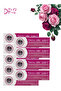 9 Pieces Derma Roller System 0.50mm