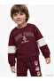 Paw Patrol Printed Boys' Sweatshirt