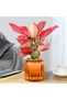 Two orange self-watering flower pots, small flower pots, transparent deep groove self-watering flower pots, plastic flower pots for all indoor plants - 3