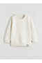Crew Neck Boys' Sweatshirt - 2