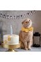 4 pieces Polka Dot Print Pet Neck Scarf Soft breathable pet scarf Adjustable accessory Machine washable dryer safe dogs cats Green Pink Yellow Blue - 3