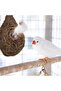Handcrafted Hanging Wicker Bird Nest Shelter with Chain Hook - 4