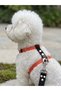 Dog Chest Harness Adjustable for Small & Small Breeds H Type Column Cord Orange & Black
