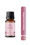 Rose Essential Oil 10 ml – Natural Essential Oil |   Aromatherapy, Diffuser, Incense Burner