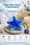 Sea Star Decorative Scented Soap Sea Breeze Bathroom Living Room Office Decor 12X12 cm Blue Color - 3