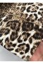 Leopar Amerikan Servisi - 3