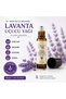 Organic Lavender Oil (L. Angustifolia) 10Ml-Roll on - 2