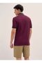 Men's Polo T-shirt Regular Fit, Soft & Breathable, Perfect For Casual & Everyday Wear - 2