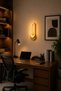 Decorative 20W Ring Model Indoor Gold Case 3 Color Light Electric 30 cm Wall Sconce - 4